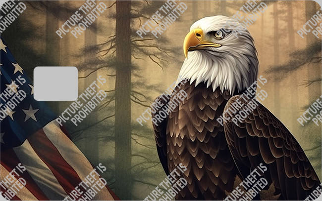 Bank  Card Sticker-BC-2091